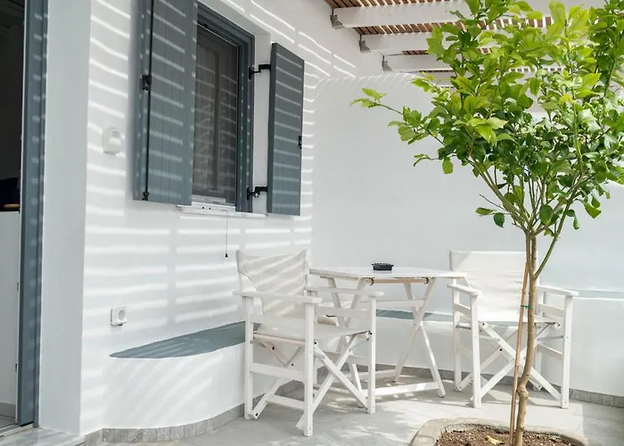 Apartment Lemon Tree