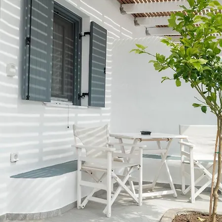 Apartment Lemon Tree